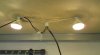 DSC07310.jpg