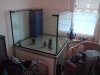 DSC00492.JPG