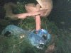 Bild3325.jpg