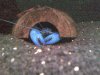 Bild3343.jpg