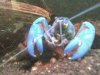 Bild3350.jpg