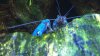 Yabby Juni 2010 (9).jpg