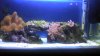 2010-11-13_17-18-40_327.jpg