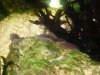 P1230276rraaa.jpg