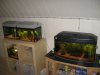 IMG_4567.JPG