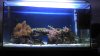 2010-11-22_20-04-08_132.jpg