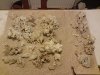 DSC00497.JPG
