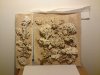 DSC00498.JPG