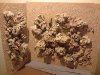 DSC00504.JPG