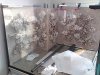 DSC00508.JPG