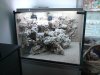 DSC00513.JPG