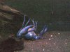 Bild3406.jpg