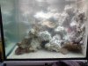DSC00521.JPG