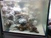 DSC00520.JPG