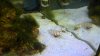 2010-12-17_16-45-13_29.jpg