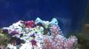 2010-12-17_16-45-51_690.jpg