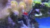 2010-12-17_16-47-02_575.jpg