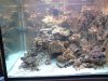 DSC00532.JPG