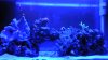 2010-12-25_21-50-00_843.jpg