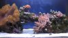 2010-12-31_16-22-57_445.jpg