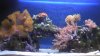 2011-01-11_15-48-49_475.jpg