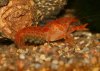 IMG_0831 - Kopie.JPG