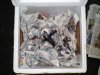 DSC07340.jpg