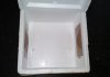 DSC07338.jpg