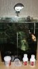 fluval vollansicht.JPG