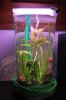 Bodenvase_864x1296.jpg