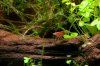 DSC_6686.jpg
