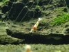 DSC03439.JPG