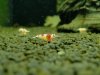 DSC03423.JPG
