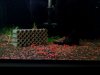 DSC03624.JPG