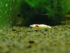 DSC03638x.JPG