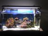 2011-02-12_17-52-35_841.jpg