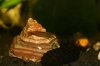 K800_IMG_6535.JPG