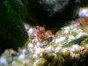 BILD2566.JPG