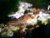 BILD2565.JPG