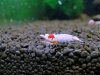 DSC03809.JPG