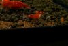 DSC03771.JPG