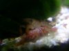 BILD2590.JPG