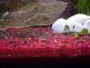 AqUaRiUm 108.jpg