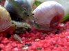 AqUaRiUm 099.jpg