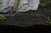 IMG_1403.jpg