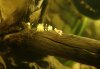 DSC02297.JPG