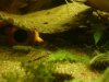 DSC02295.JPG