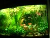 Juwel 2011 011.JPG