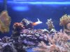 2011-03-18_17-59-50_886.jpg