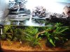 Aquaterra_Wasserfall_20110320_klein.JPG